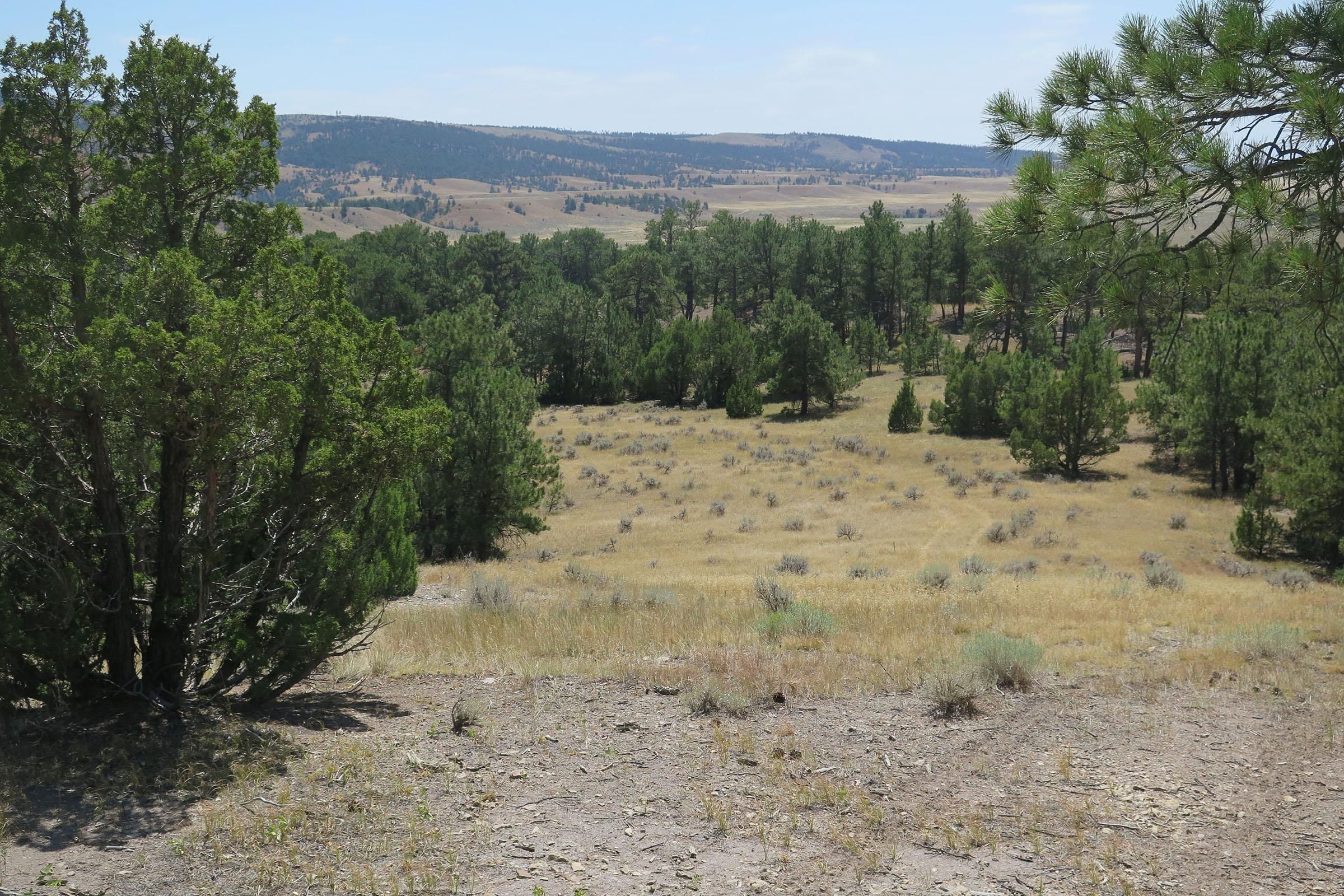 TBD Old Highway 85, Newcastle, WY 82701 MLS McLaughlin Property