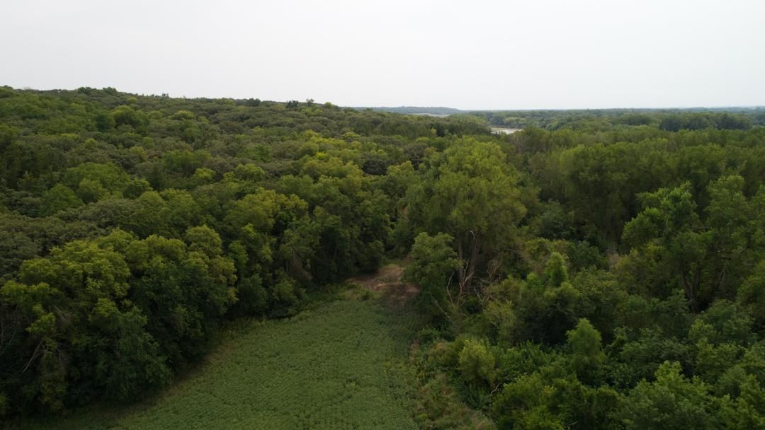 Nickerson, Dodge County, NE Recreational Property, Hunting Property