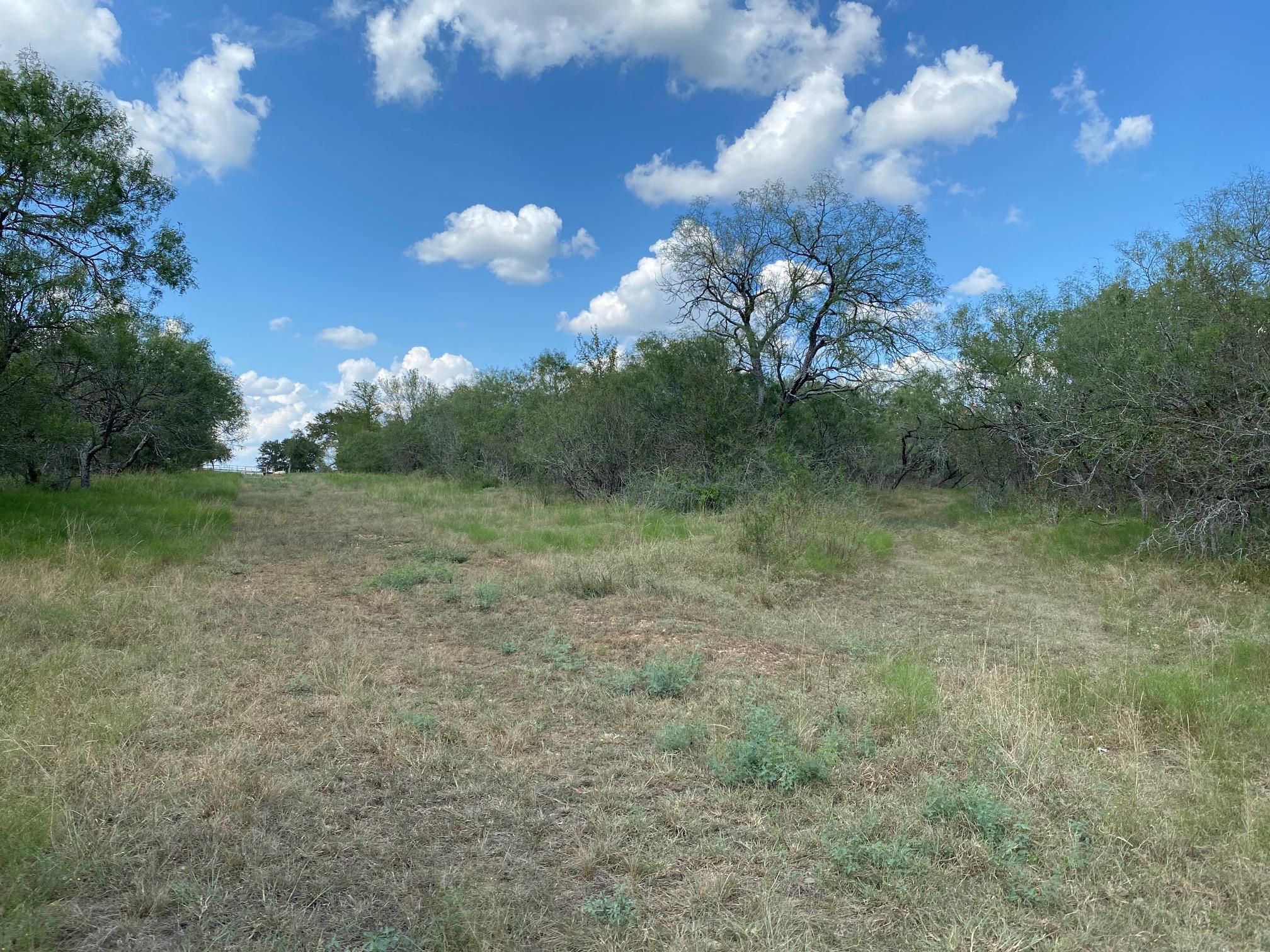 Lockhart, Caldwell County, TX Commercial Property, Hunting Property for
