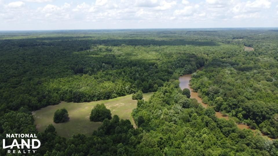 Bolivar, Hardeman County, TN Recreational Property, Hunting Property