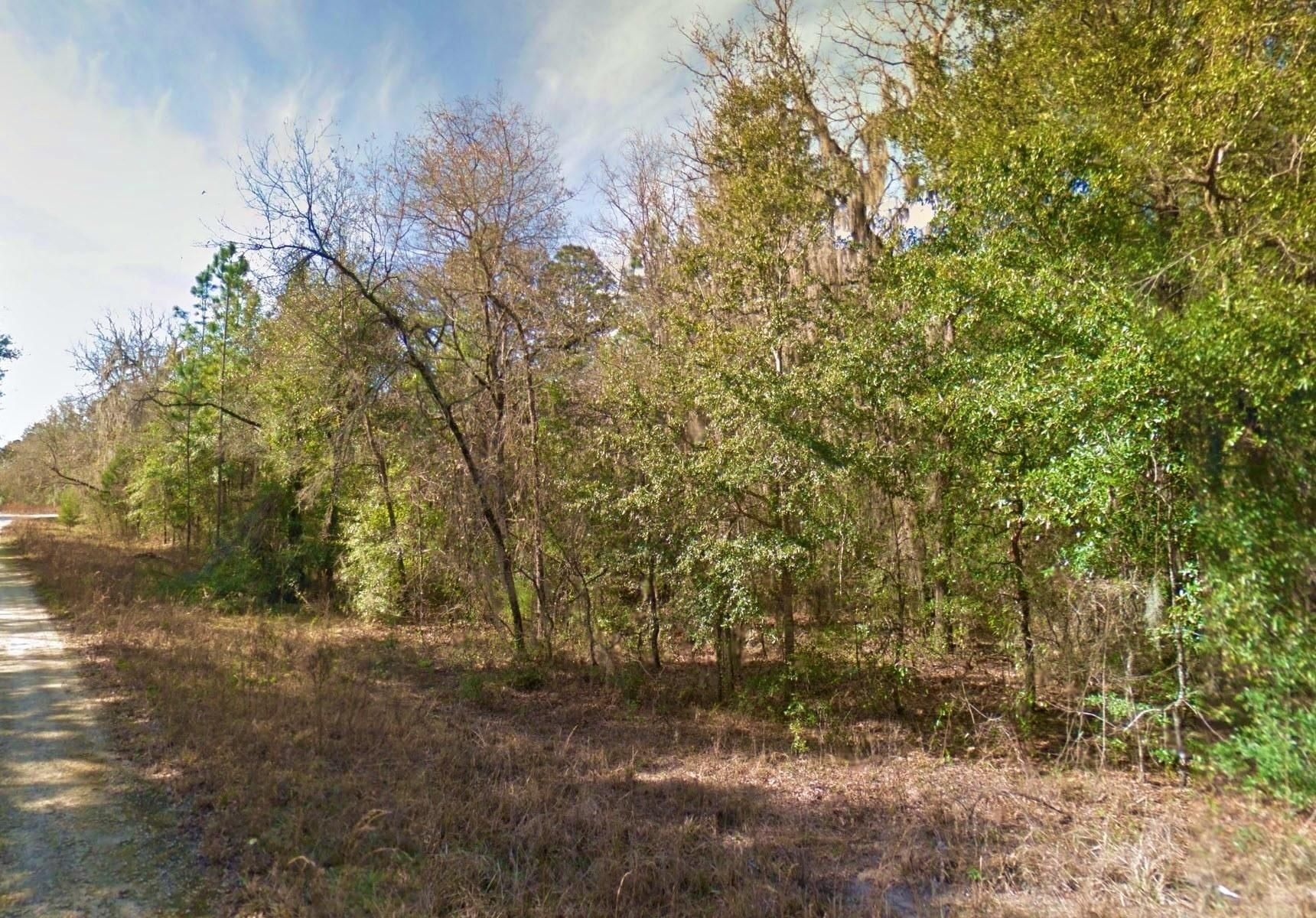 Williston, Levy County, FL Recreational Property, Undeveloped Land