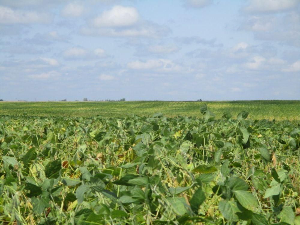 318.77 acres in Oakes, ND, LandWatch
