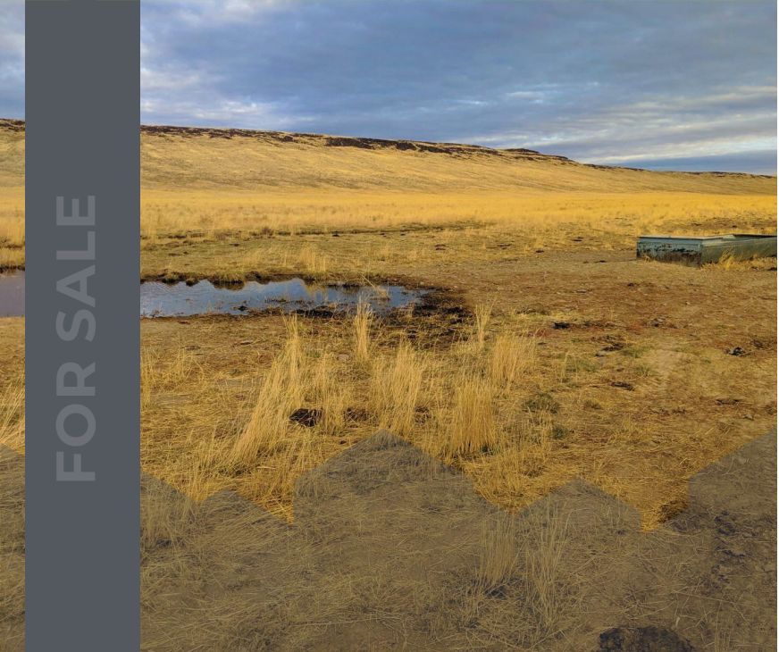 Castleford, Owyhee County, ID Farms and Ranches, Hunting Property