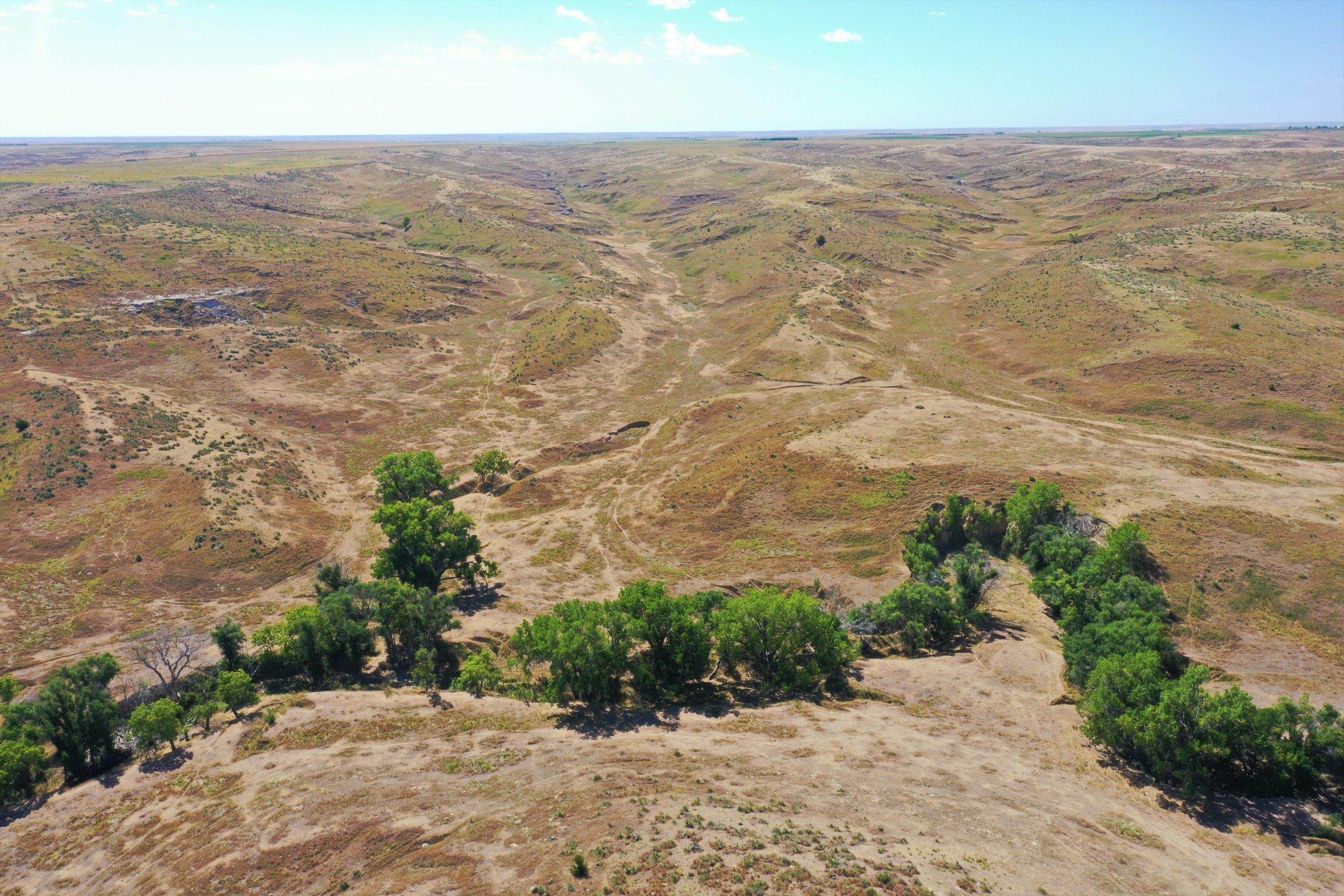 Palisade, Hitchcock County, NE Farms and Ranches, Hunting Property