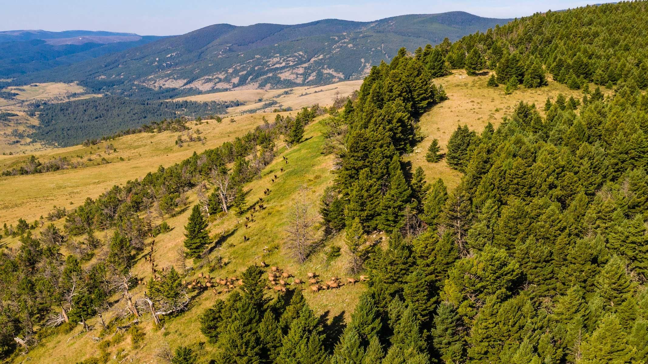 Stanford, Judith Basin County, MT Farms and Ranches, Recreational