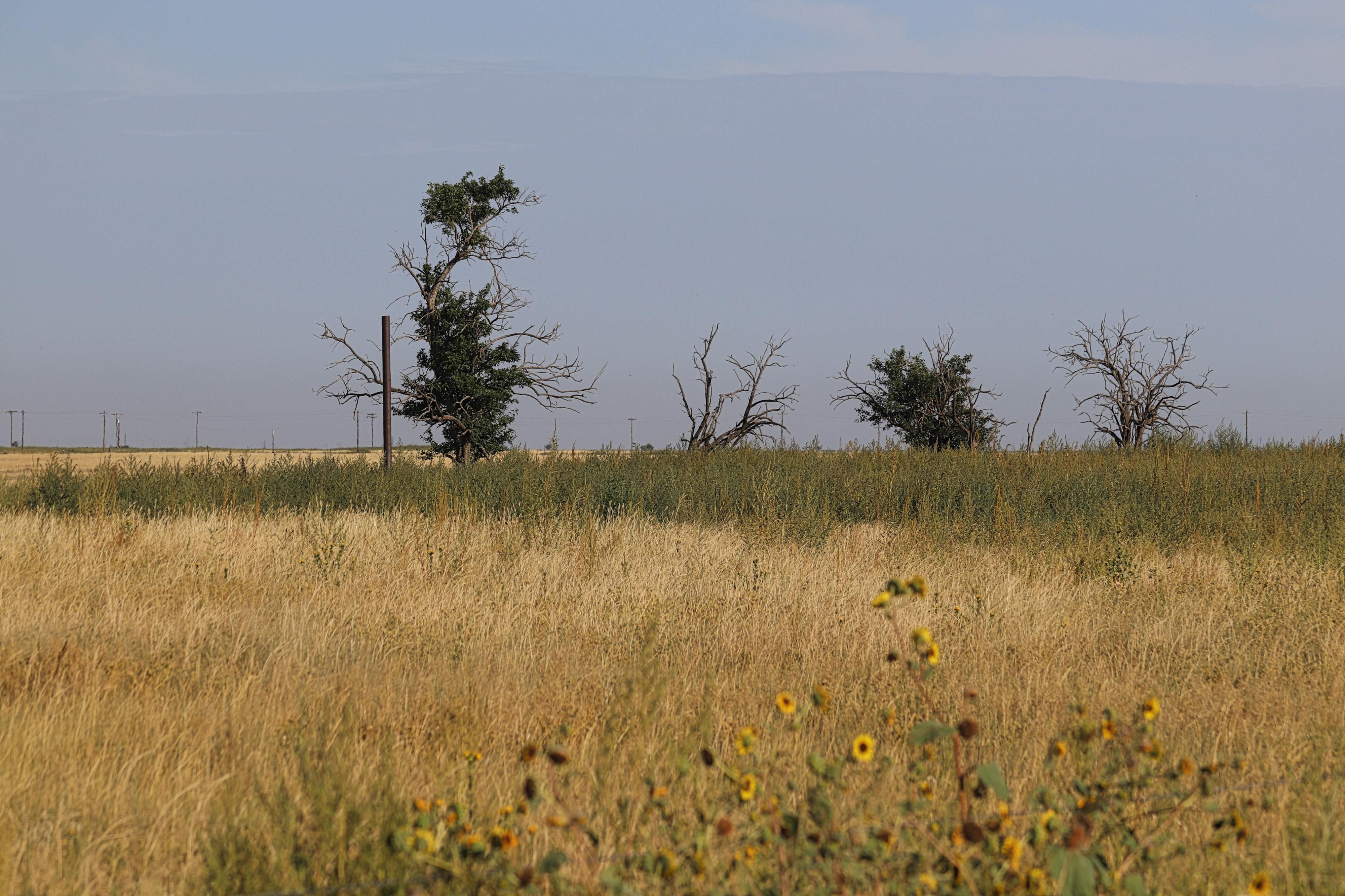 Happy, Swisher County, TX Farms and Ranches for sale Property ID