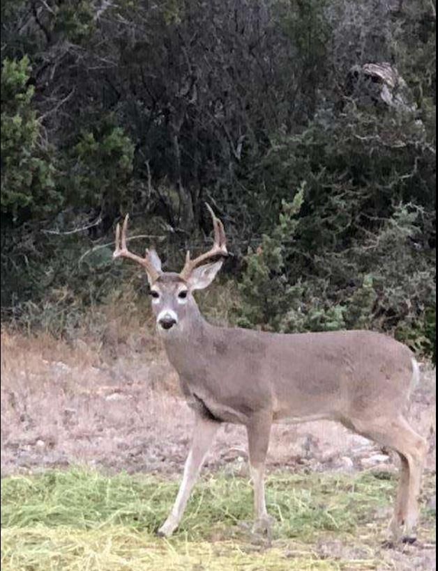 Del Rio, Val Verde County, TX Recreational Property, Undeveloped Land