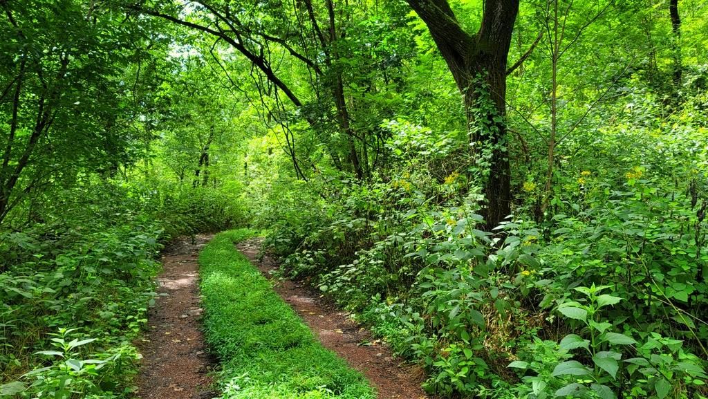 4843 Stanaford Road, Prince, WV 25907 MLS HEART OF THE NATIONAL PARK