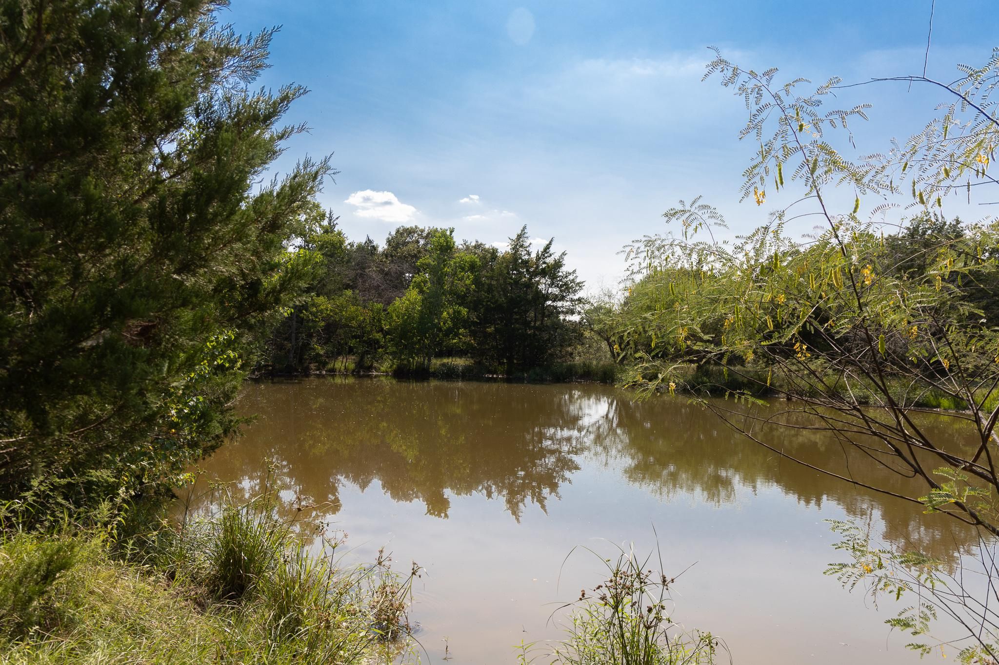 Hallettsville, Lavaca County, TX Recreational Property, Hunting