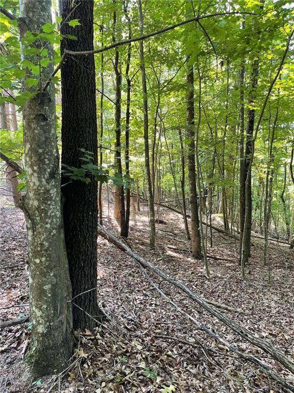 lot 19 overland trail, Hays, NC 28635 MLS 1041818 LandWatch