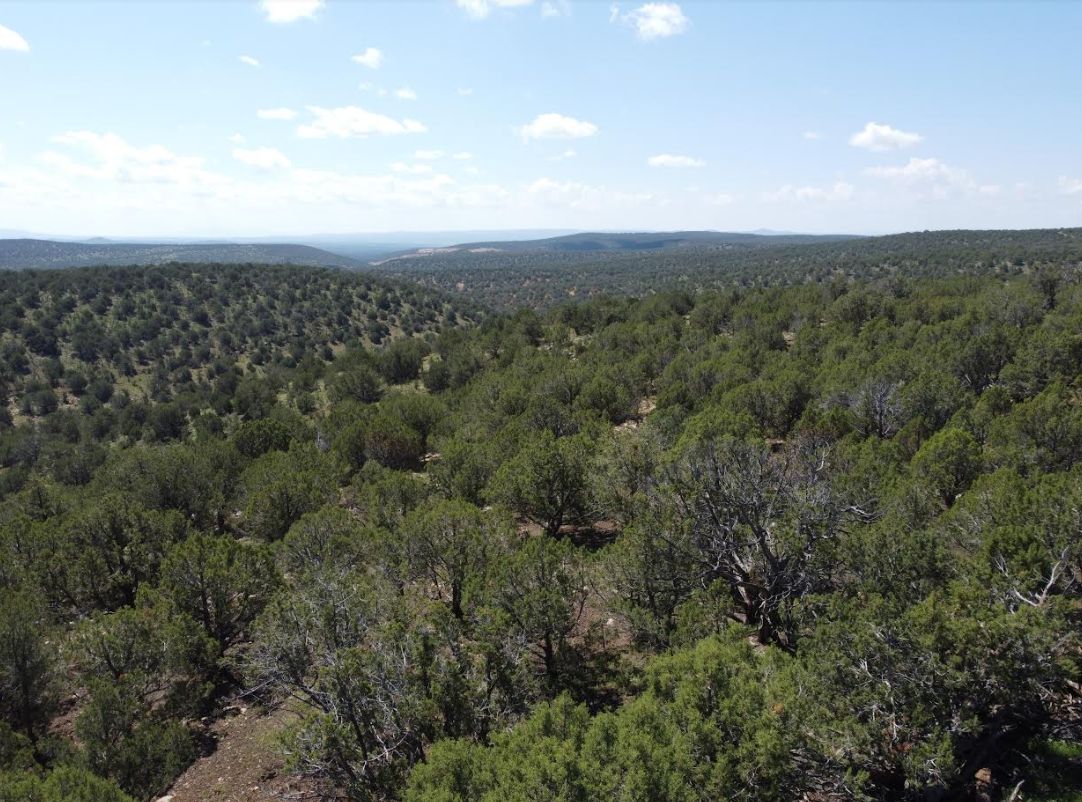 40.18 acres in Seligman, AZ, 86337 LandWatch