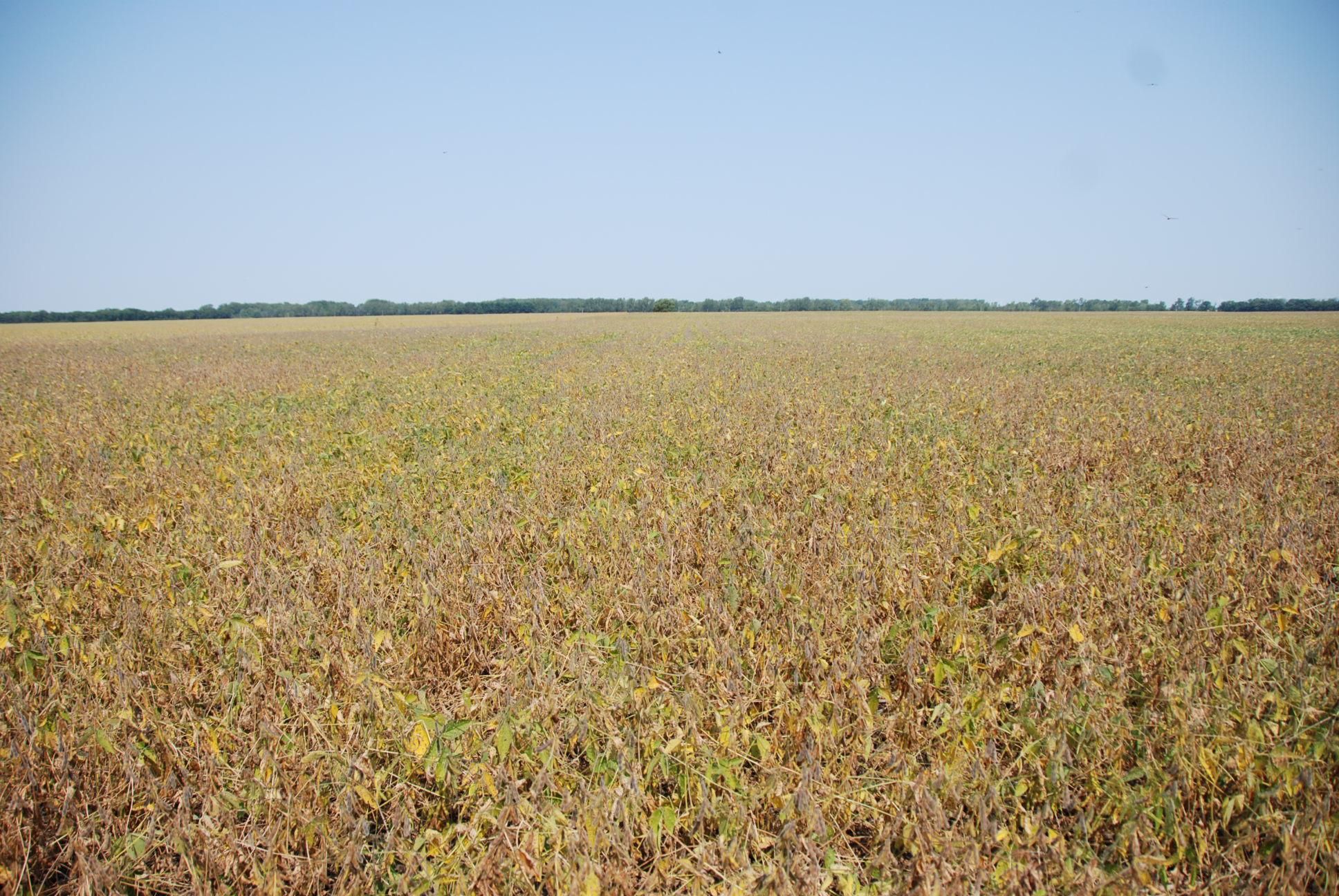 160 acres in Stockland, IL, 60953 LandWatch