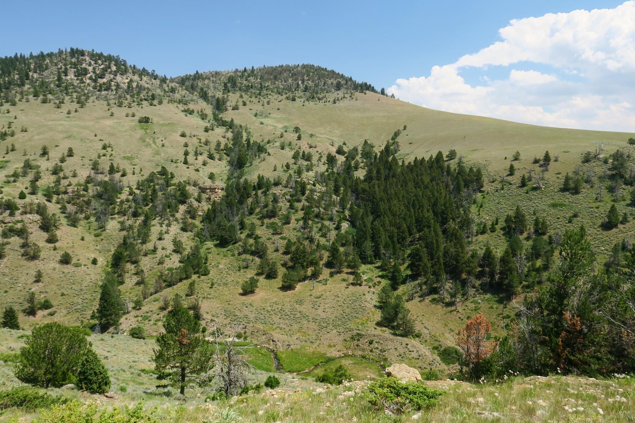 Hazelton Rd, Kaycee, WY 82639 LandWatch