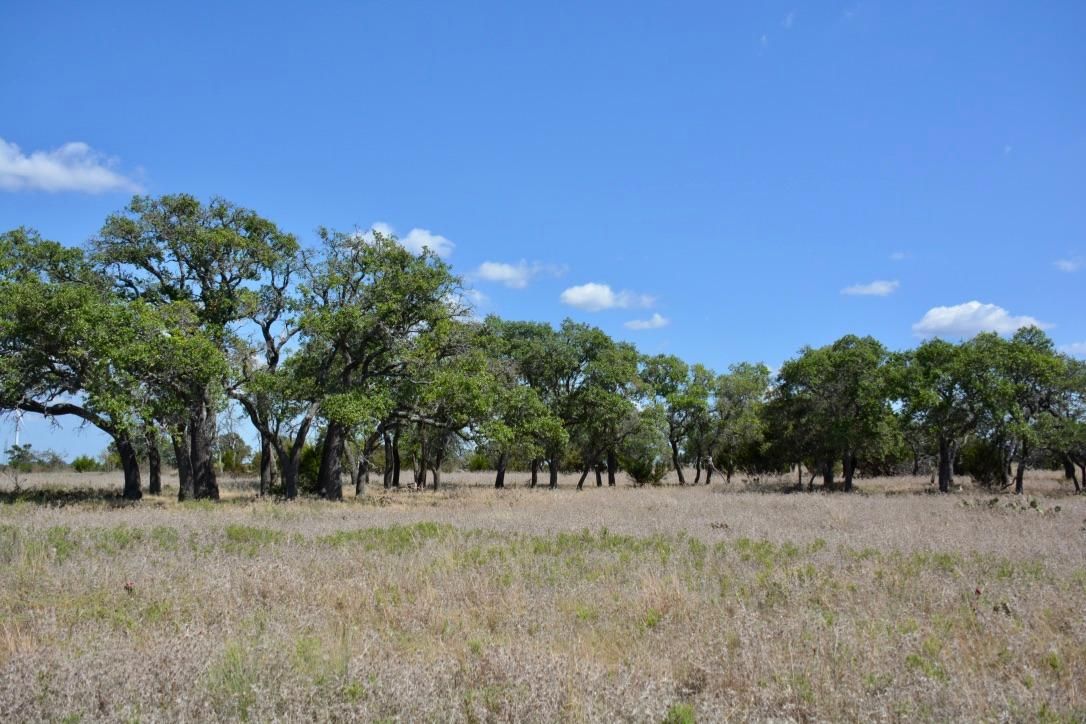 Goldthwaite, Mills County, TX Farms and Ranches, Recreational Property