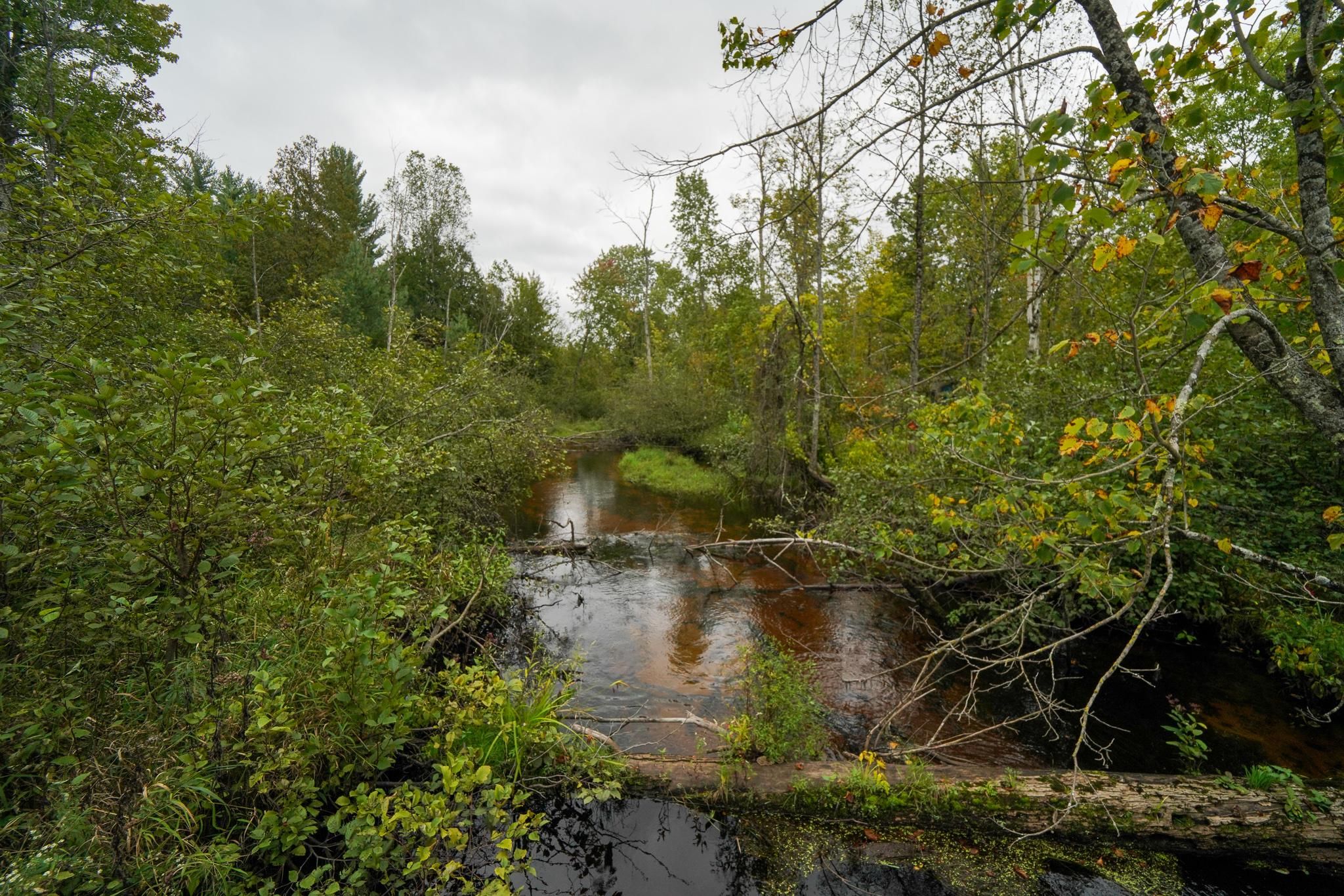 Branch, Mason County, MI Recreational Property, Timberland Property, Hunting Property