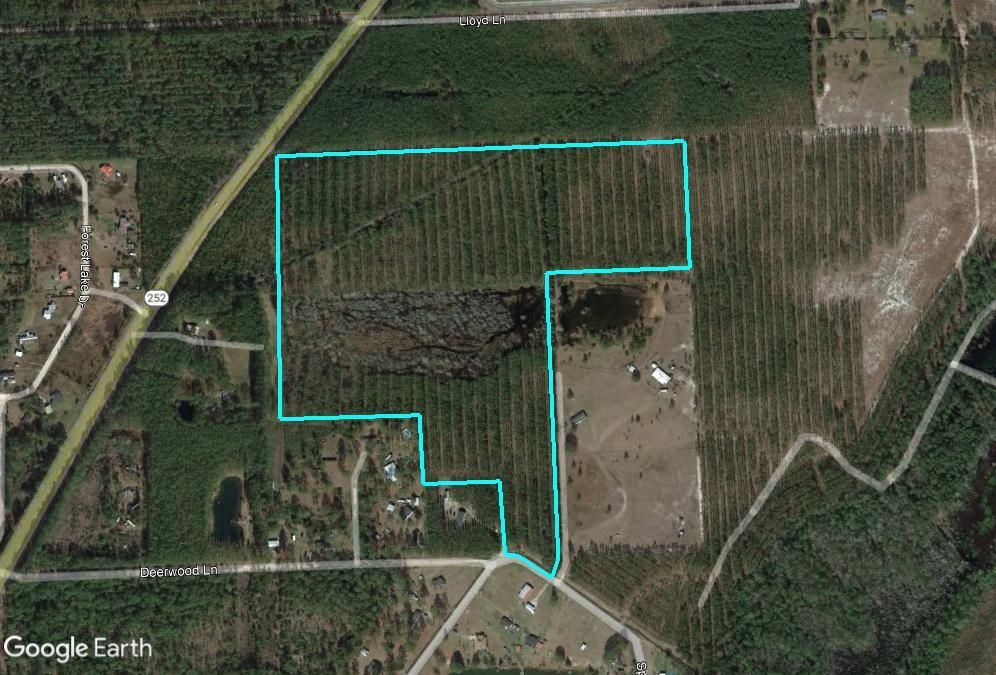 Folkston, Charlton County, GA Timberland Property, Undeveloped Land for
