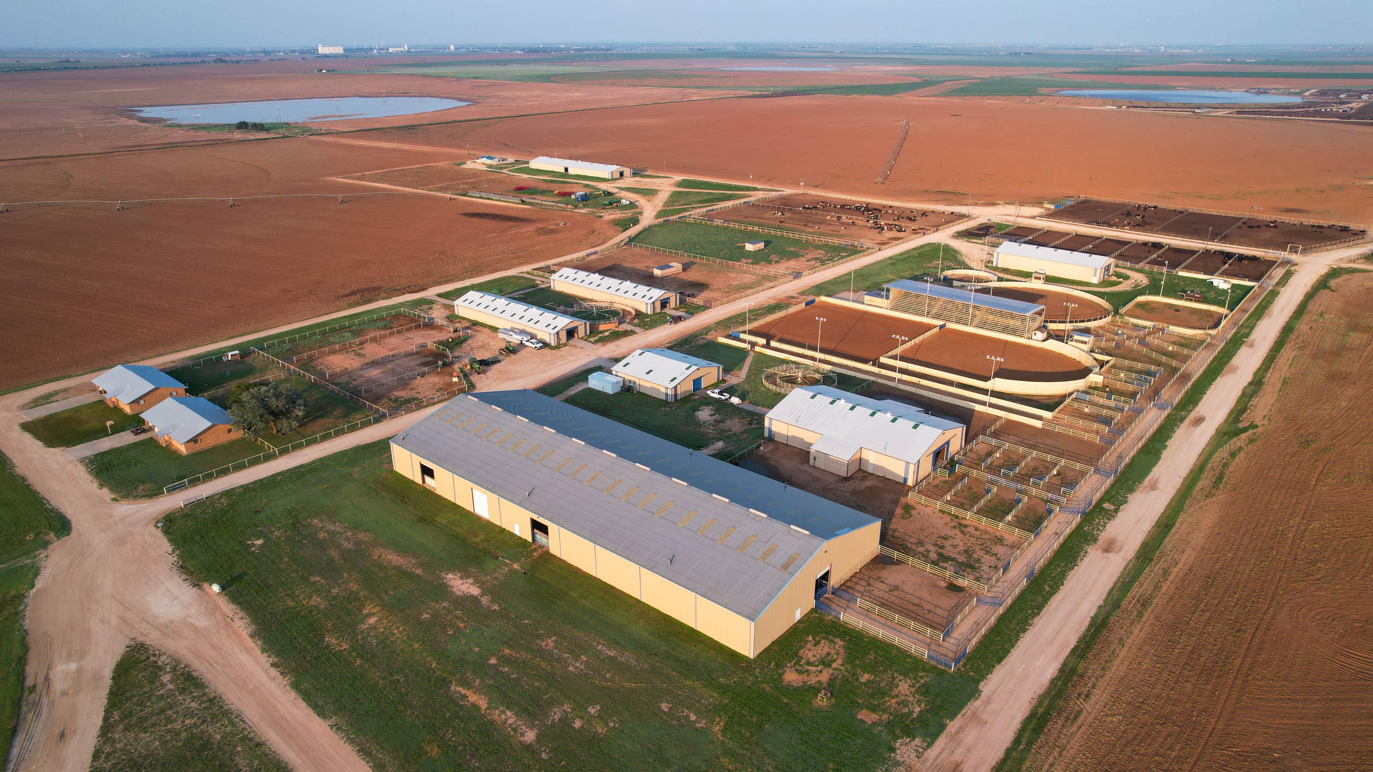 FM2396, Farwell, TX 79325 LandWatch