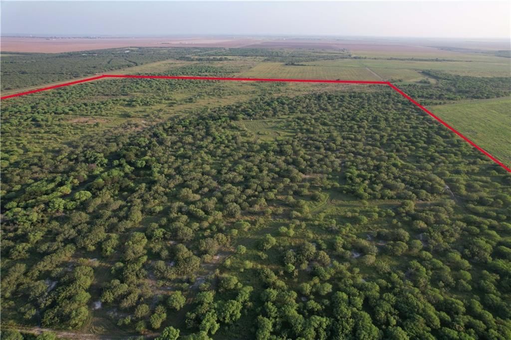 Agua Dulce, Jim Wells County, TX Farms and Ranches, Hunting Property