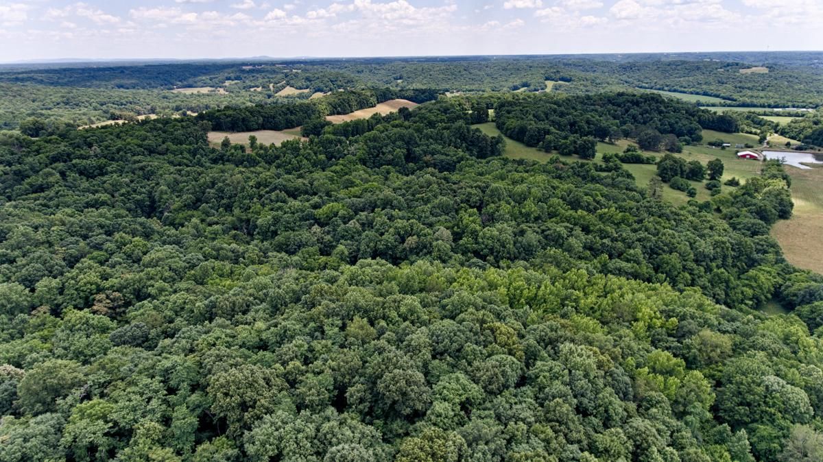 Prospect, Giles County, TN Recreational Property, Hunting Property for
