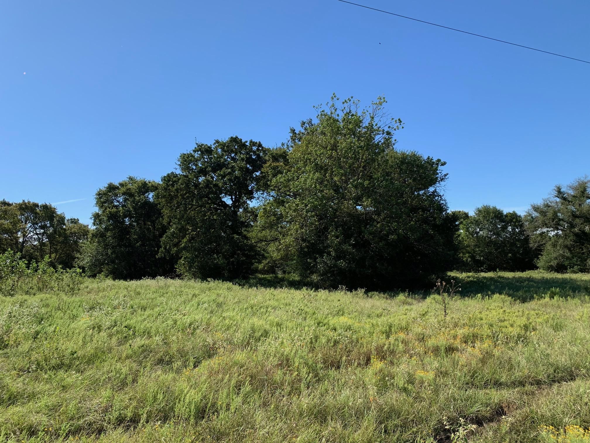 FM 39, Normangee, TX 77871 LandWatch