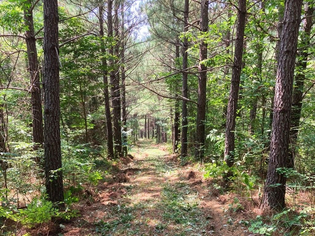 Robbins, Scott County, TN Recreational Property, Timberland Property