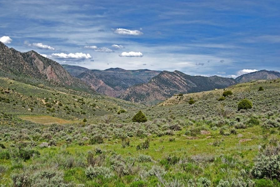 Cimarron, Montrose County, CO Recreational Property, Undeveloped Land