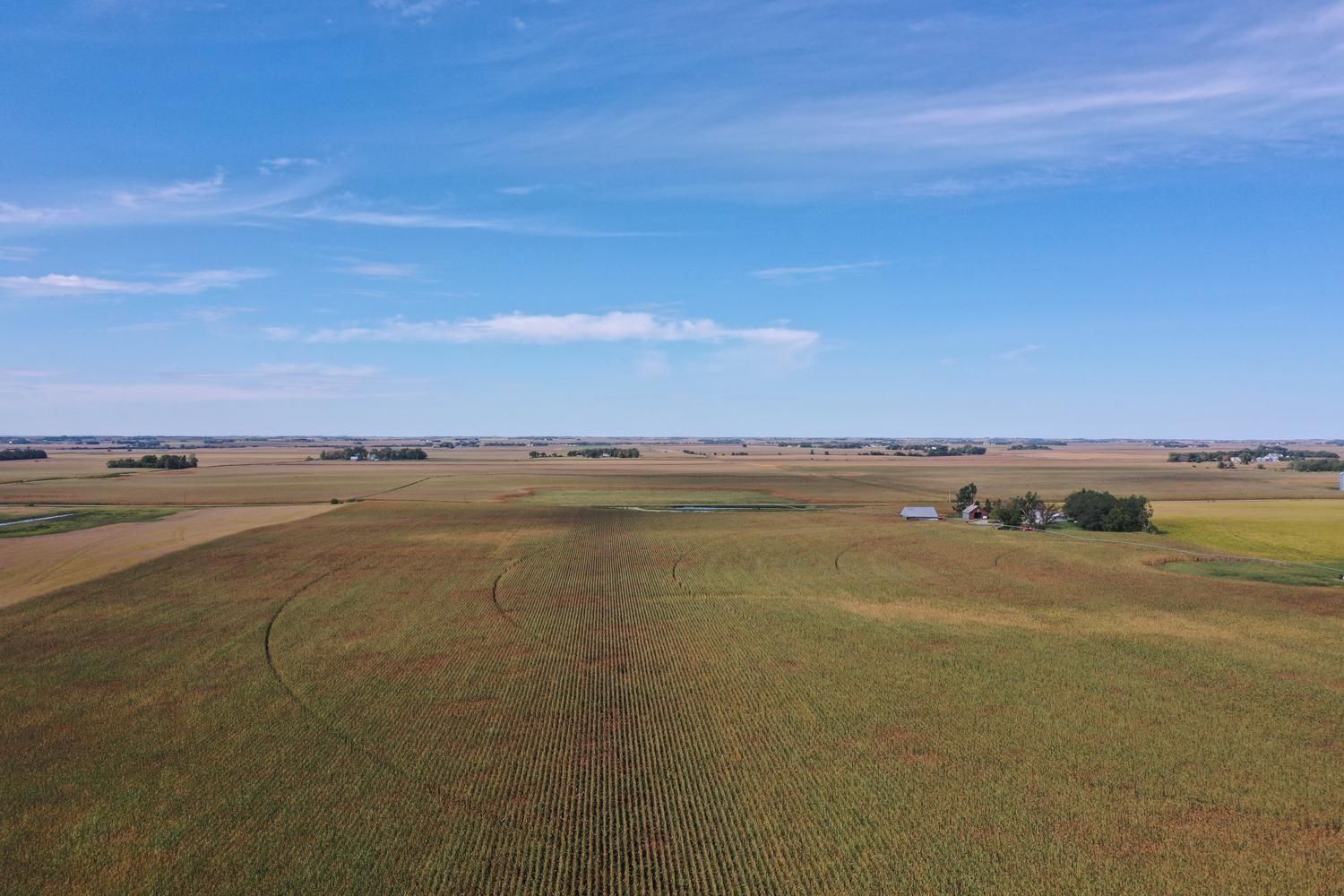 76.99 acres in Cedar Bluffs, NE, 68015 LandWatch