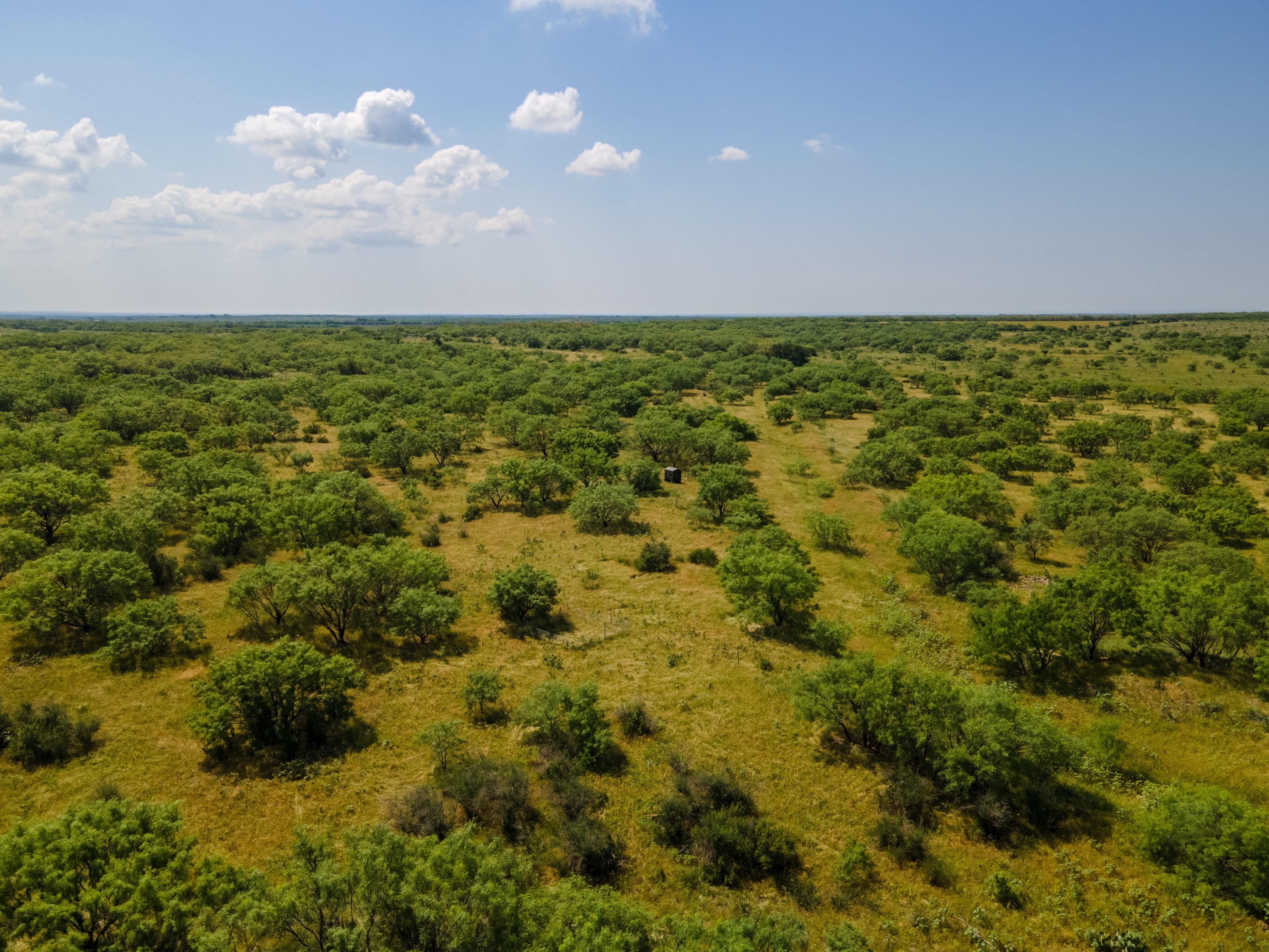 TBD CR 336, Gouldbusk, TX 76845 LandWatch