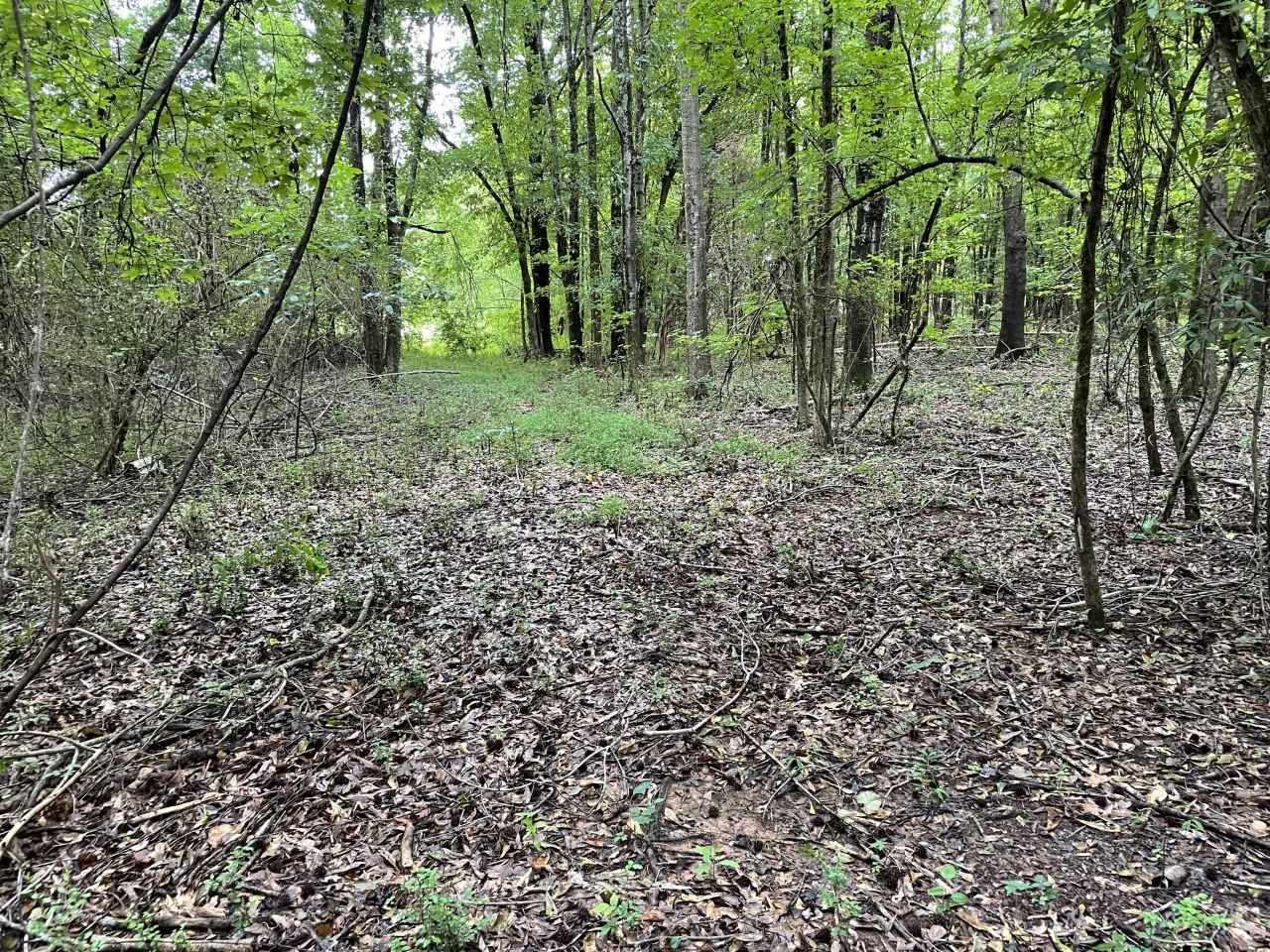 Laurens, Laurens County, SC Undeveloped Land for sale Property ID