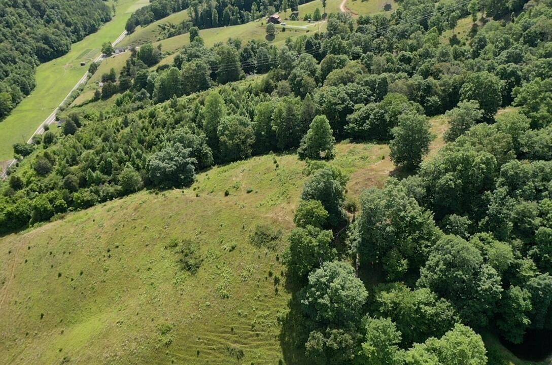 Sneedville, Hancock County, TN Undeveloped Land for sale Property ID