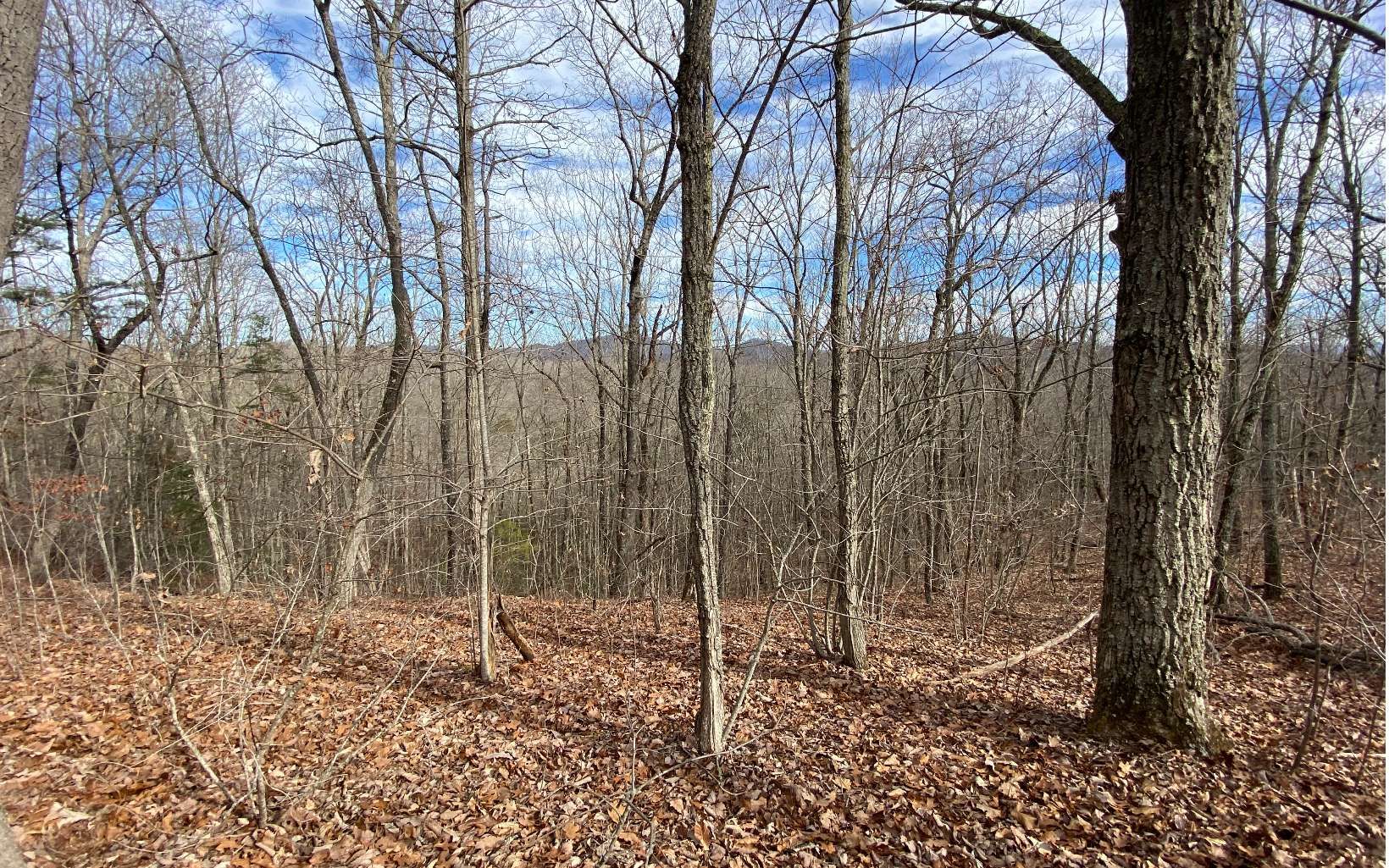 Mineral Bluff, Fannin County, GA Undeveloped Land for sale Property ID