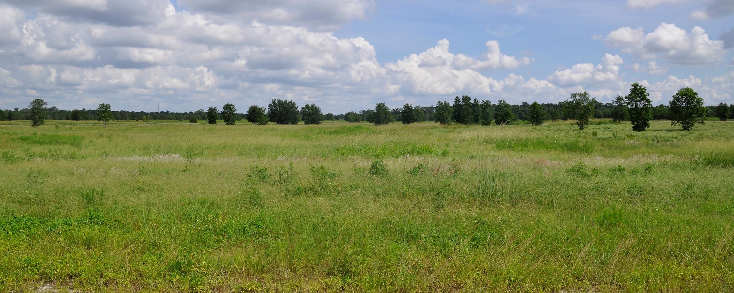 Sebring, Highlands County, FL Farms and Ranches, Recreational Property, Hunting Property for