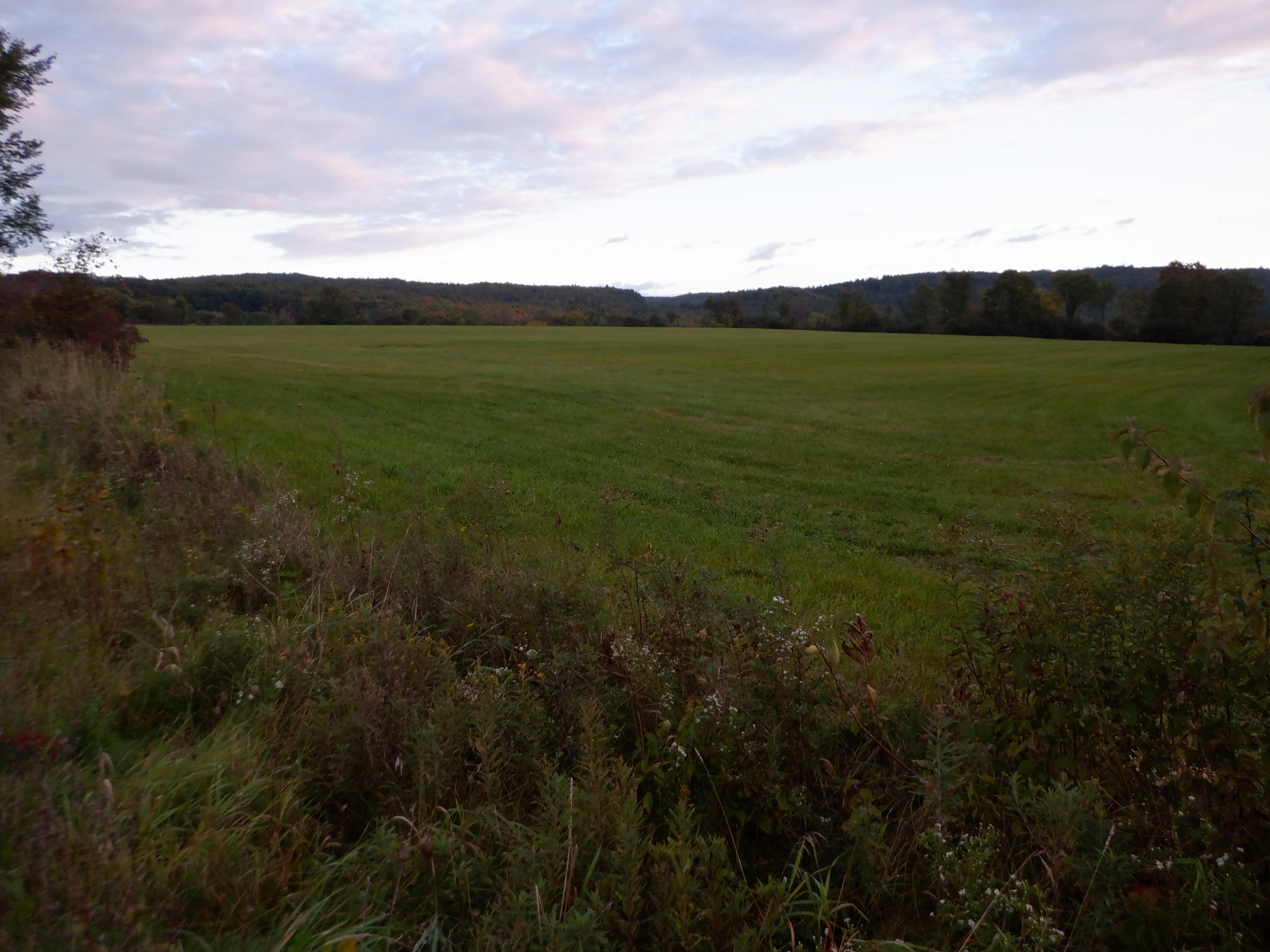 Mill Pond Road, Benson, VT 05743 LandWatch