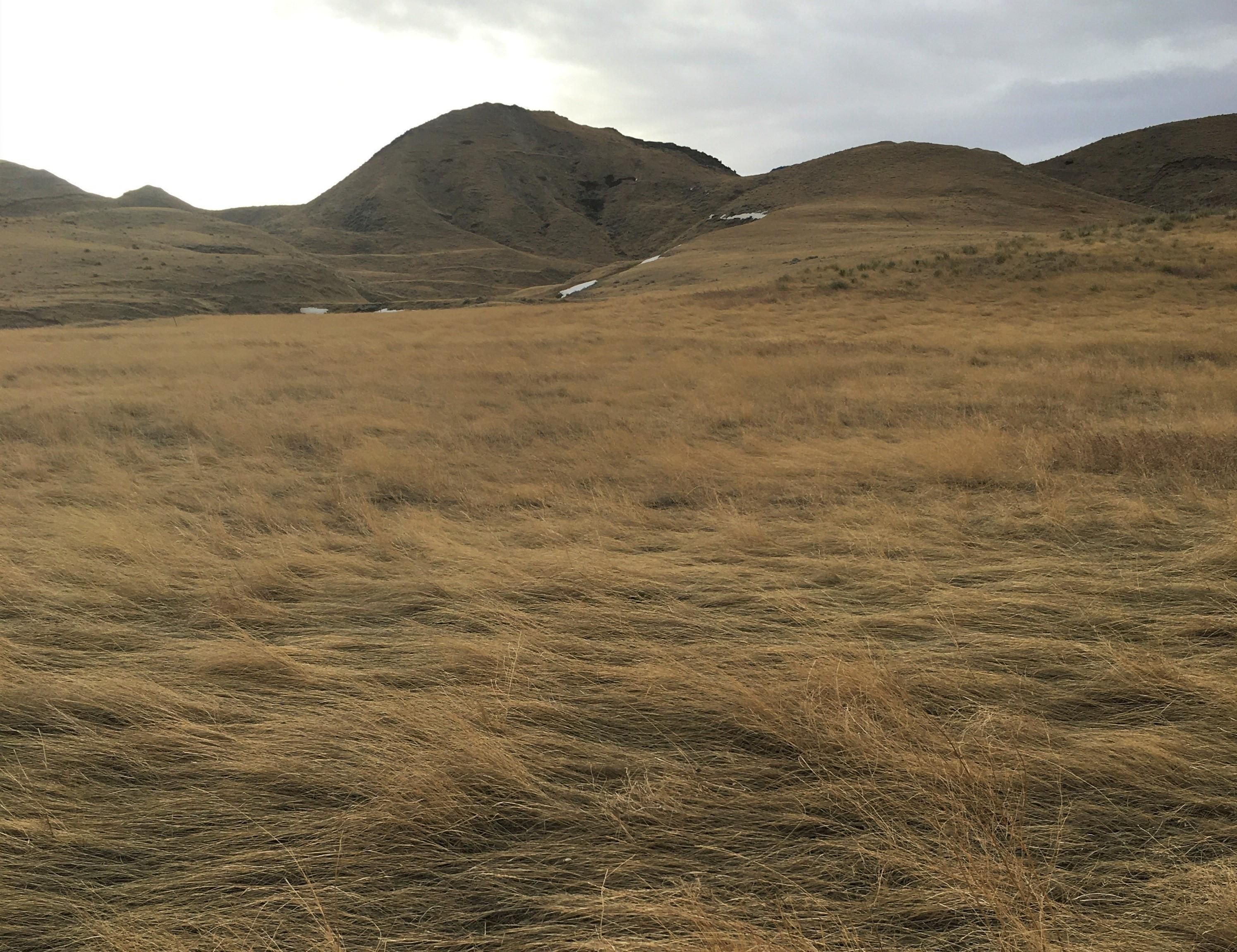 Geraldine, Chouteau County, MT Farms and Ranches, Undeveloped Land for