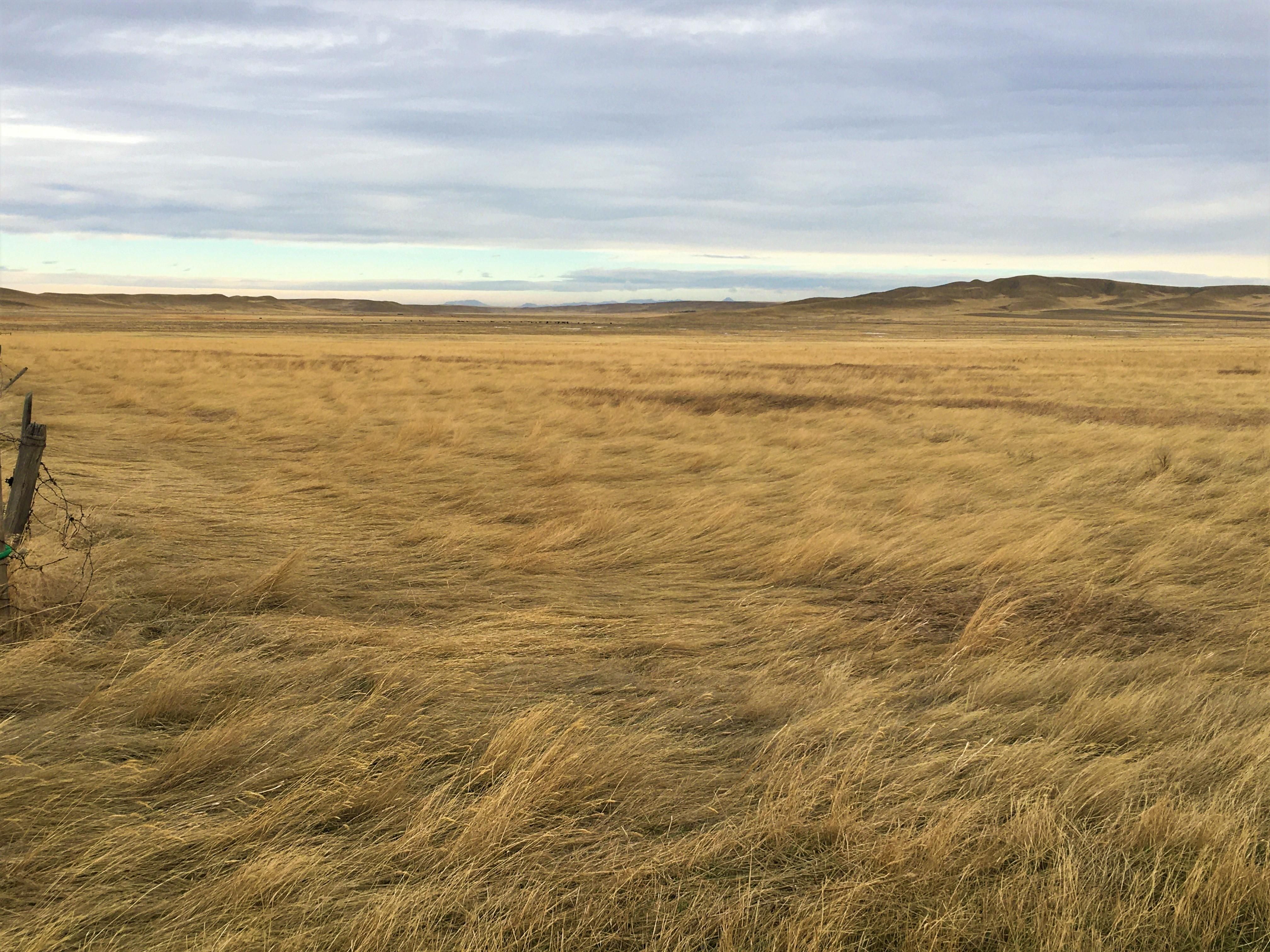 Geraldine, Chouteau County, MT Farms and Ranches, Undeveloped Land for