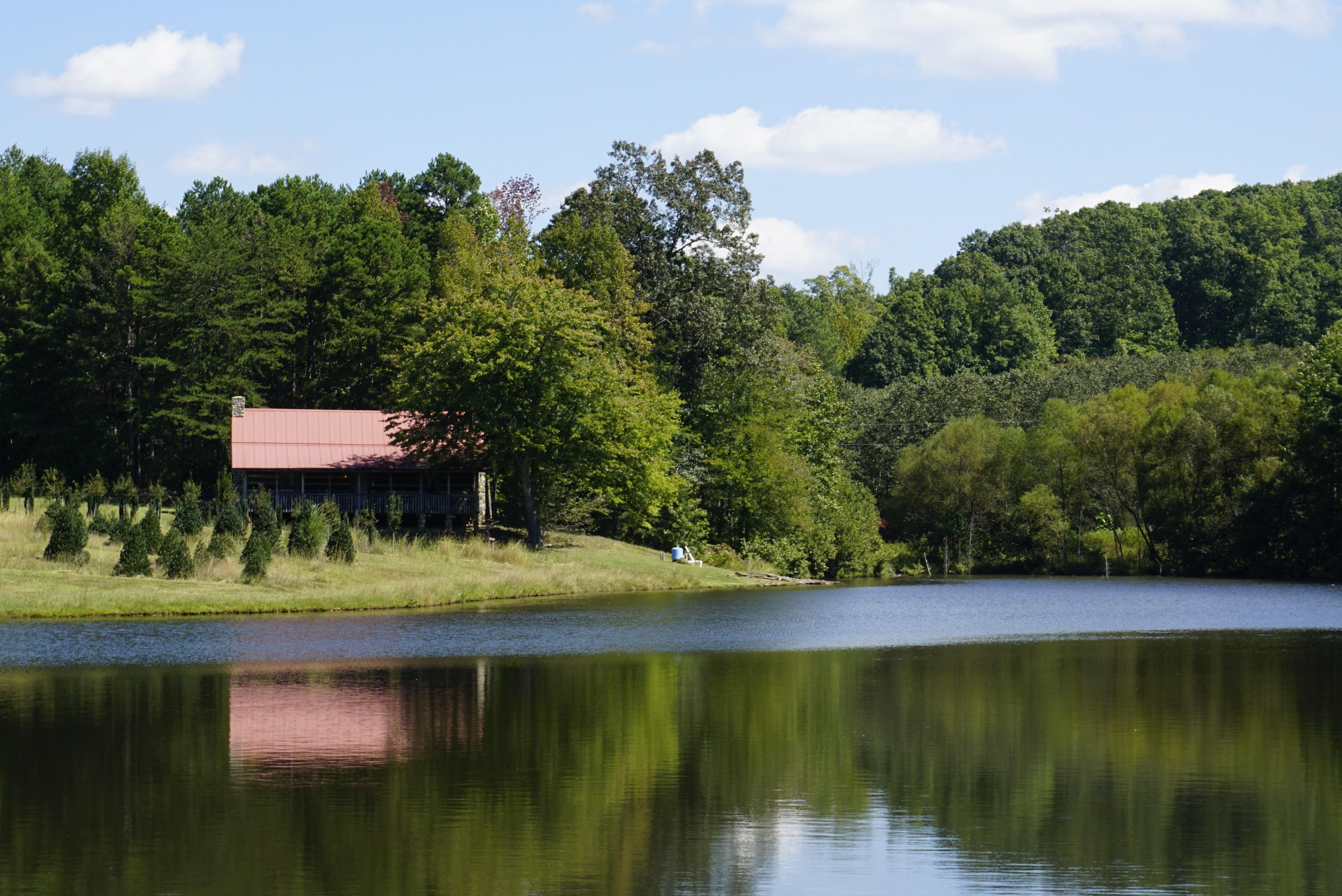 Forest View Rd, Blacksburg, SC 29702 MLS 3790089 LandWatch