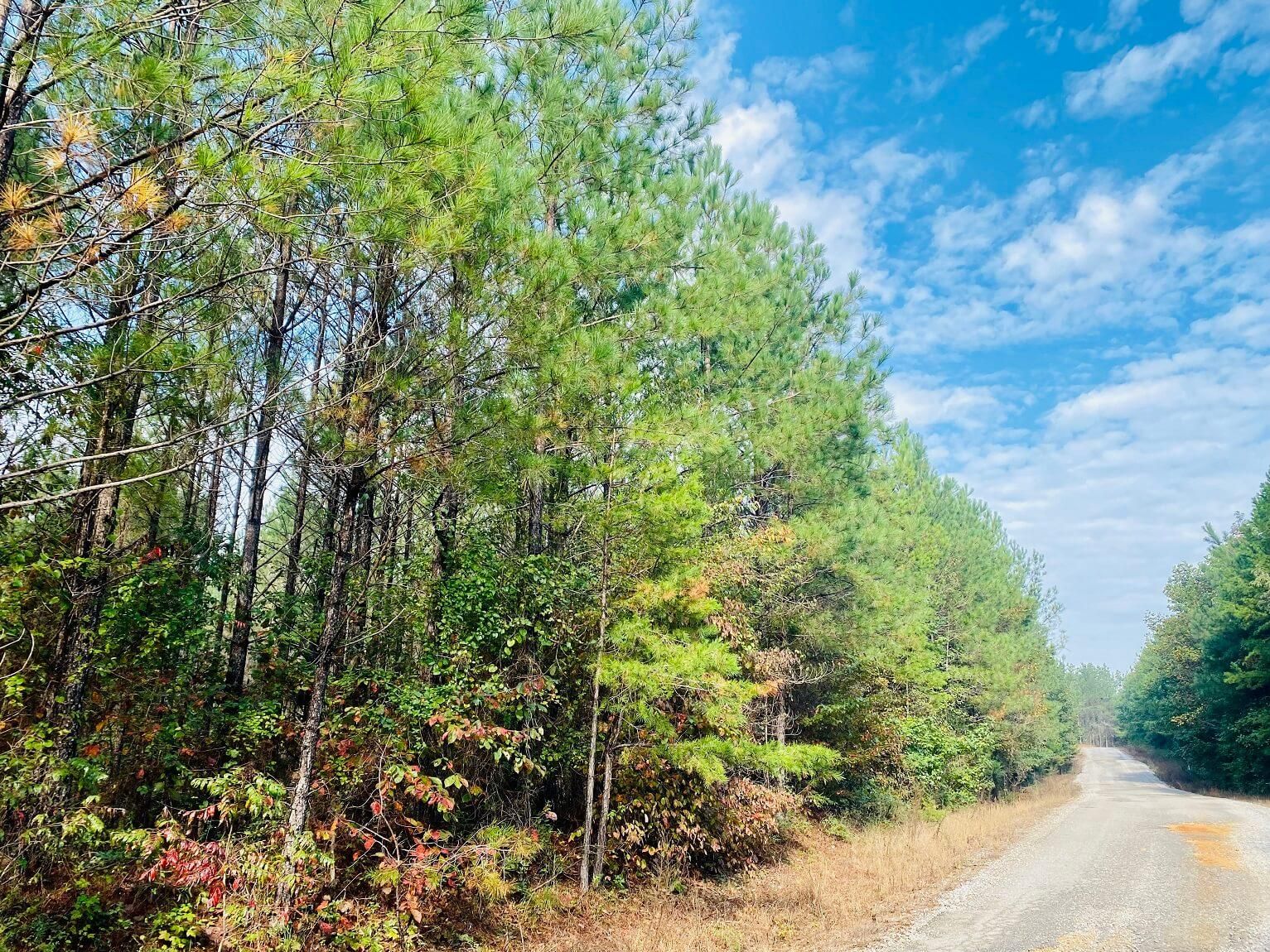 Booneville, Prentiss County, MS Recreational Property, Timberland
