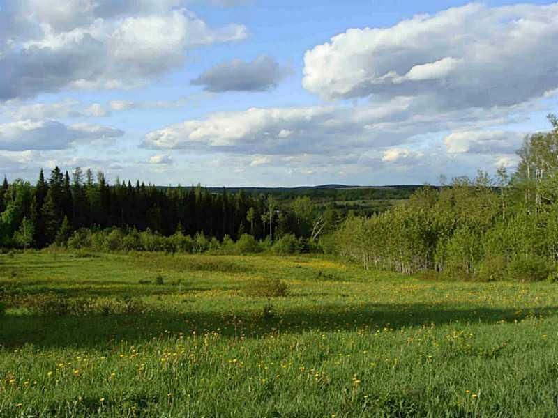 Caribou, Aroostook County, ME Undeveloped Land for sale Property ID