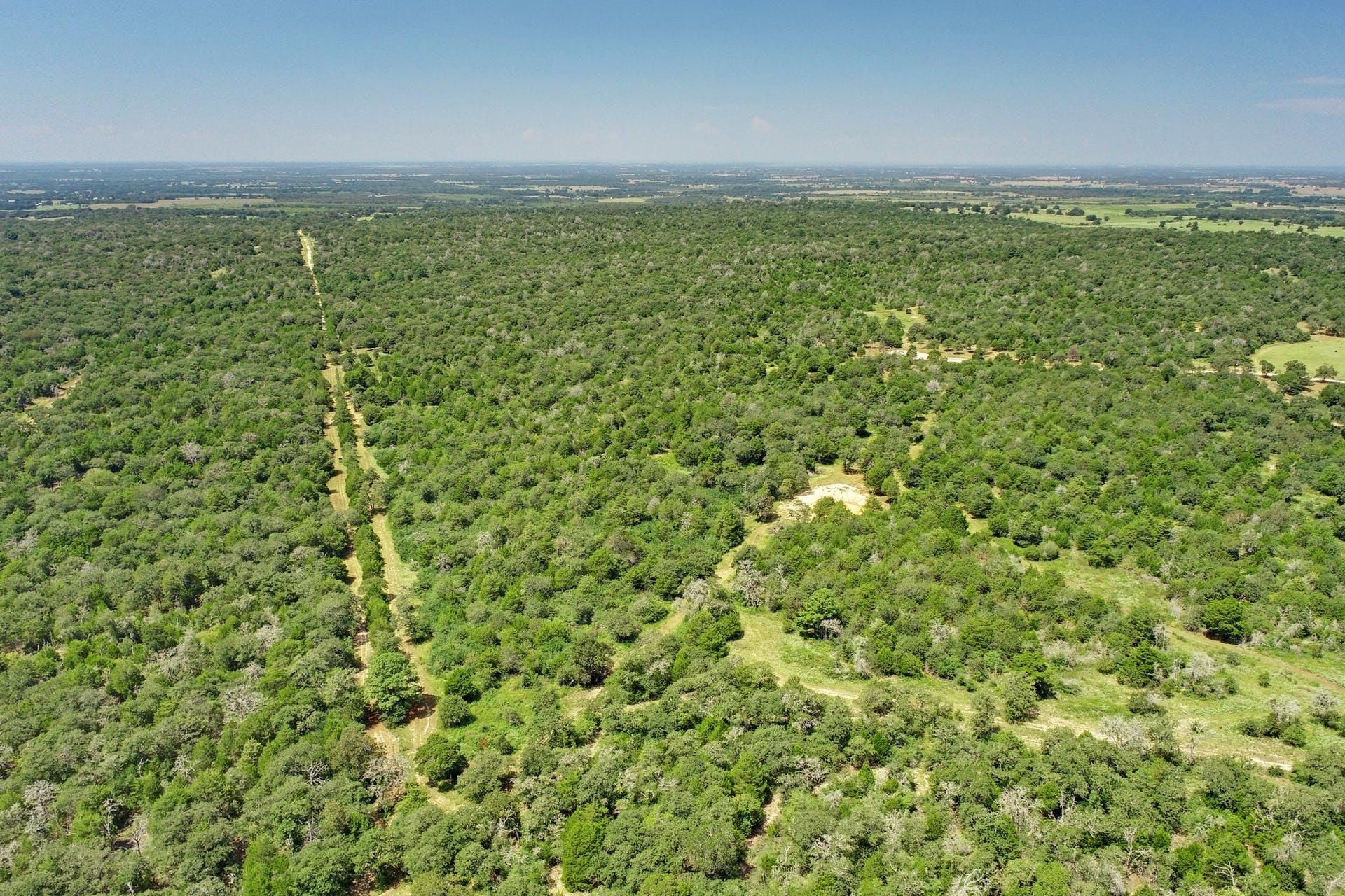 Mcmahan, Caldwell County, TX Farms and Ranches, Recreational Property