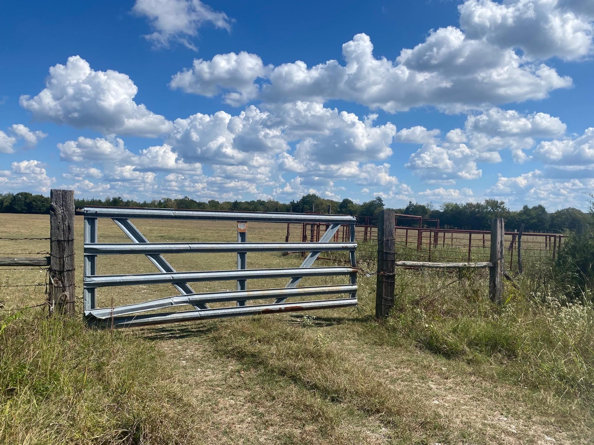 Annona, Red River County, TX Farms and Ranches, Recreational Property