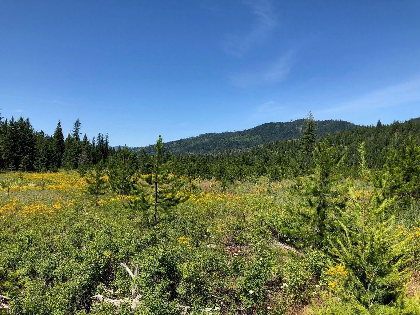 Rathdrum, Kootenai County, ID Recreational Property, Undeveloped Land