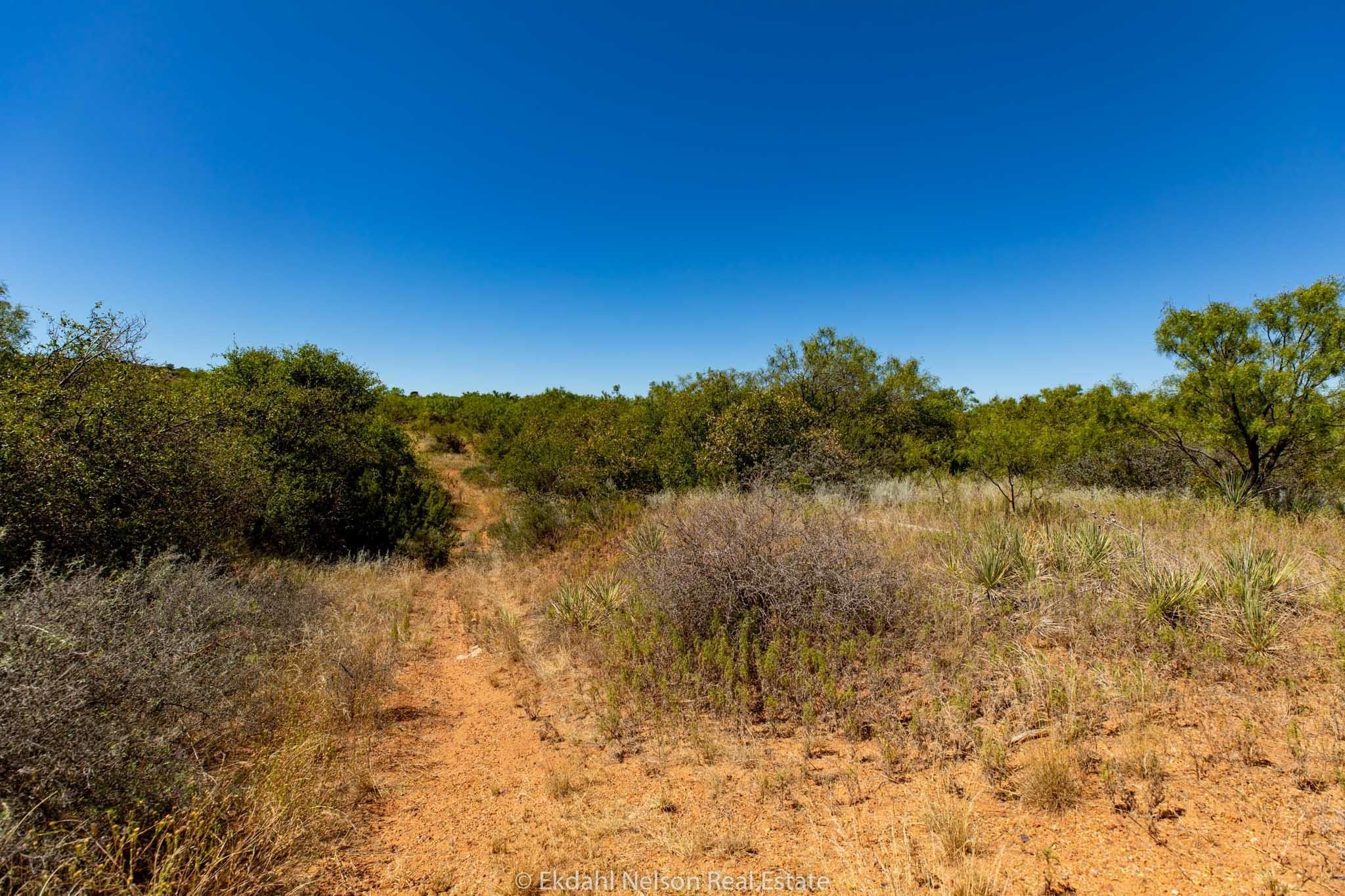 Sweetwater, Fisher County, TX Farms and Ranches, Recreational Property