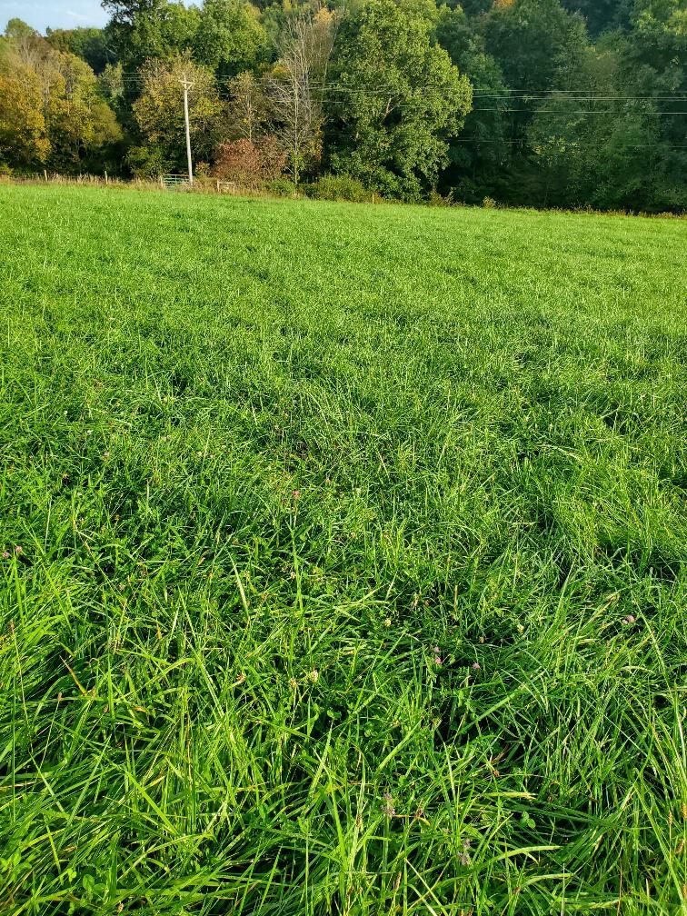 Lore City, Guernsey County, OH Recreational Property, Hunting Property