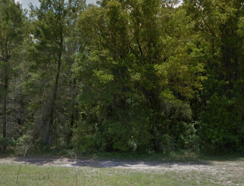13070 S Moonraker Terrace, Floral City, FL 34436 MLS 20E21S10