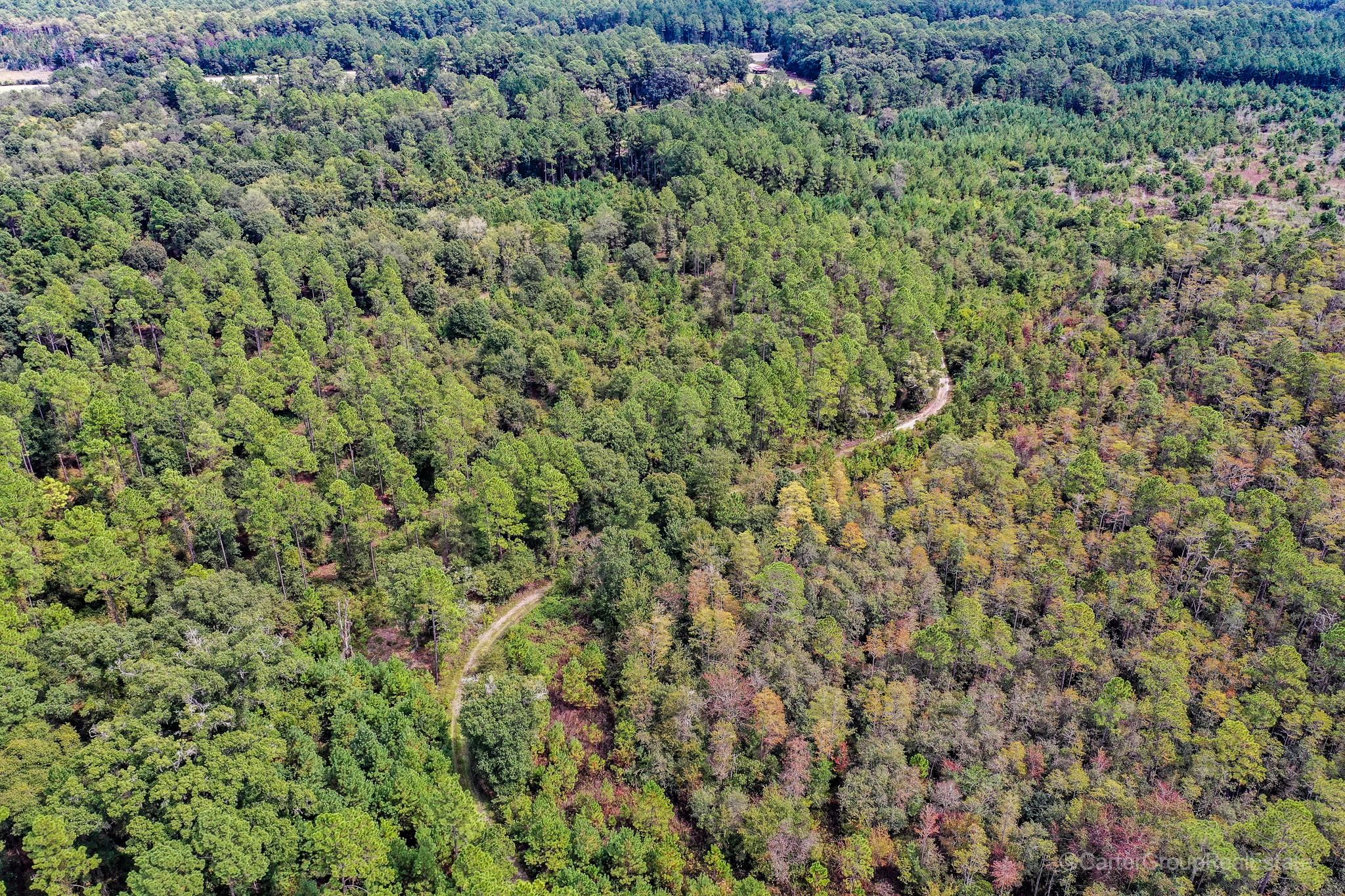 Bristol, Pierce County, GA Recreational Property, Timberland Property