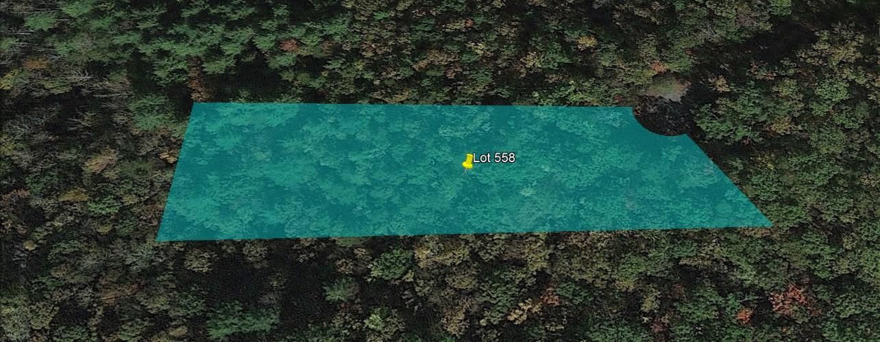 Mineral Bluff, Fannin County, GA Recreational Property, Undeveloped