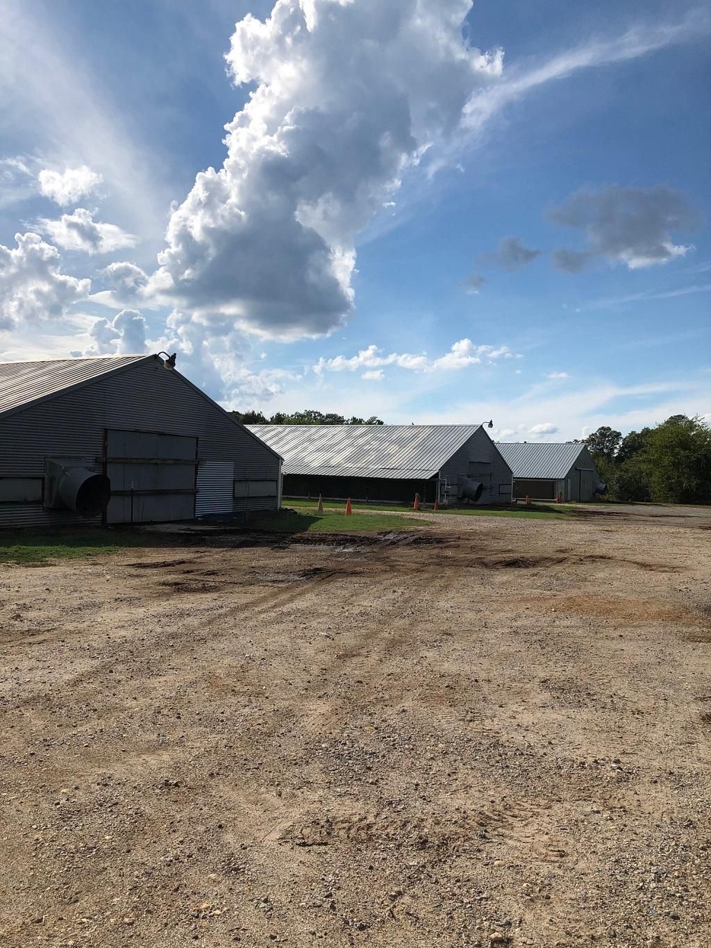 29 acres in Wadesboro, NC, 28170 LandWatch