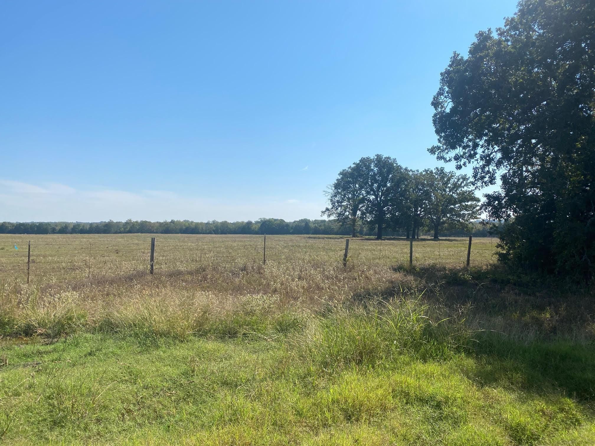 Annona, Red River County, TX Farms and Ranches, Recreational Property