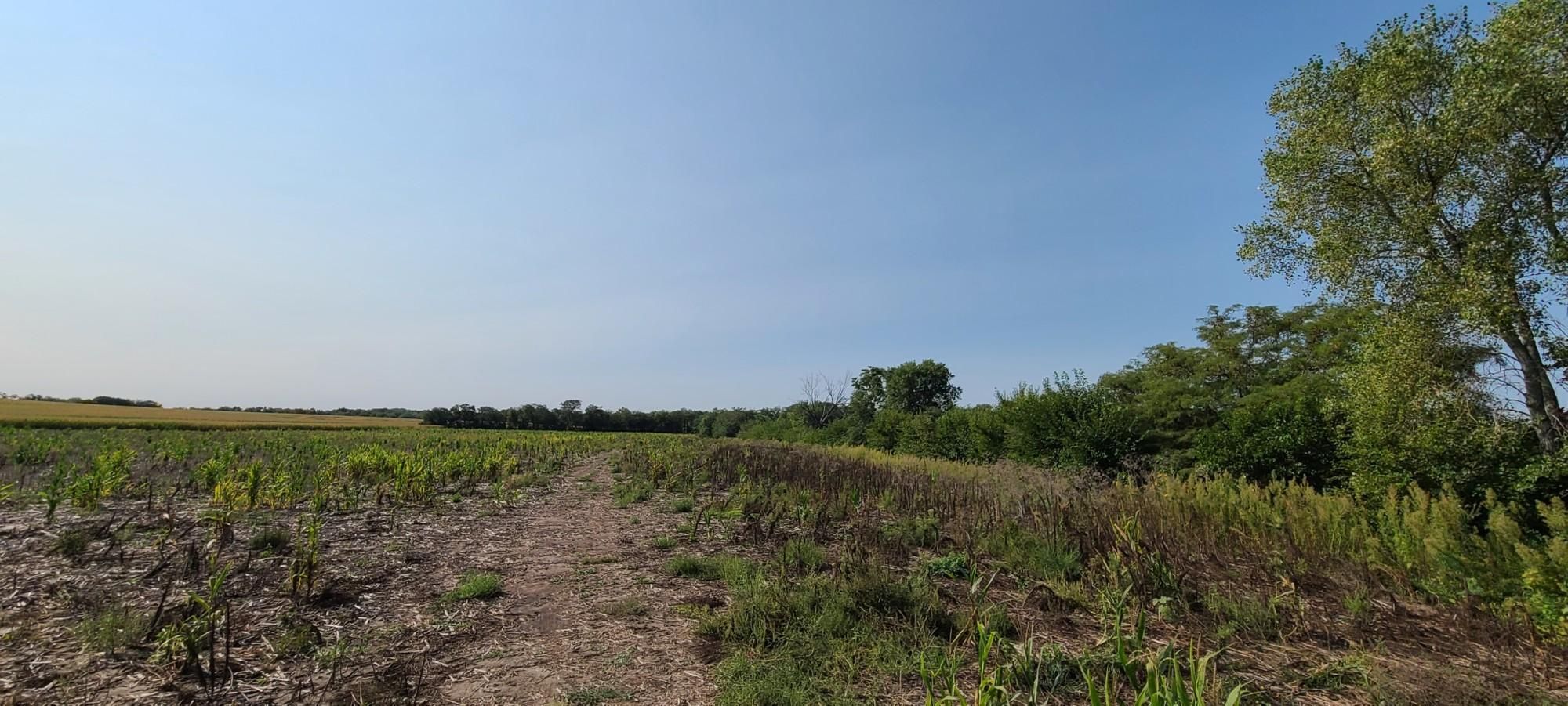 Ashland, Cass County, NE Recreational Property, Undeveloped Land for