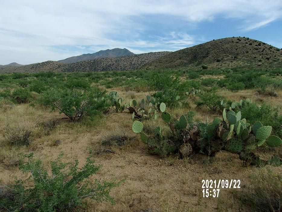 Bowie, Cochise County, AZ Recreational Property, Undeveloped Land for sale Property ID